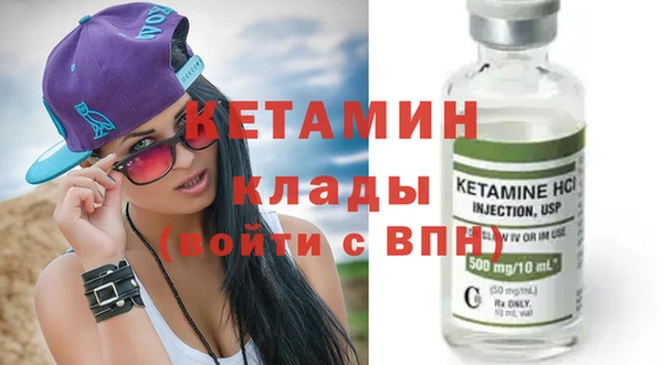 СК Новодвинск