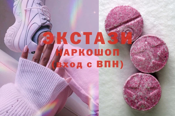 СК Новодвинск