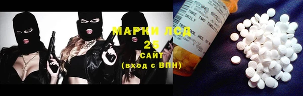 СК Новодвинск