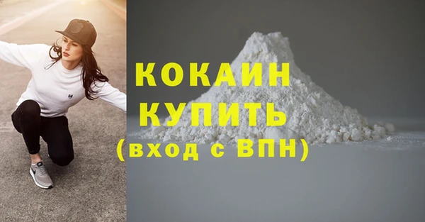 СК Новозыбков