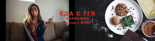 СК Новозыбков