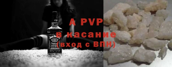 СК Новодвинск