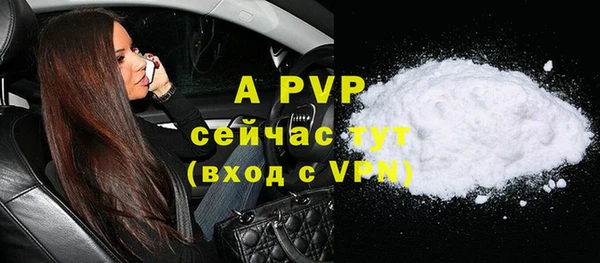 СК Новодвинск