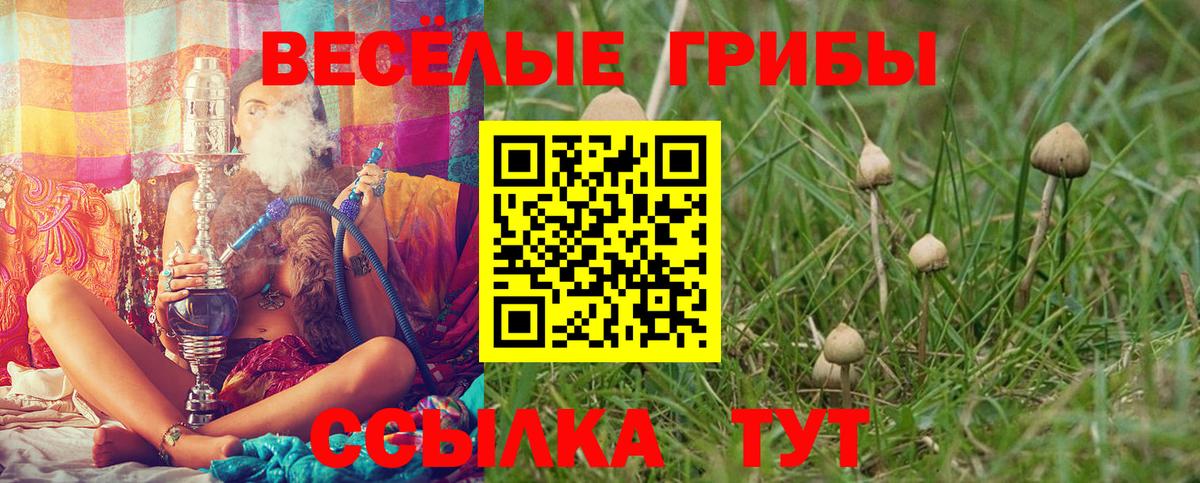 Гашик  Истра  Каннабис  АМФЕТАМИН  Вход с VPN  MDMA  МЕФ  Кокаин  25-NBOMe 