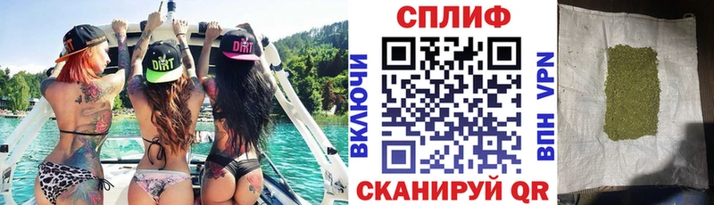 сколько стоит  Истра  Шишки марихуана планчик 