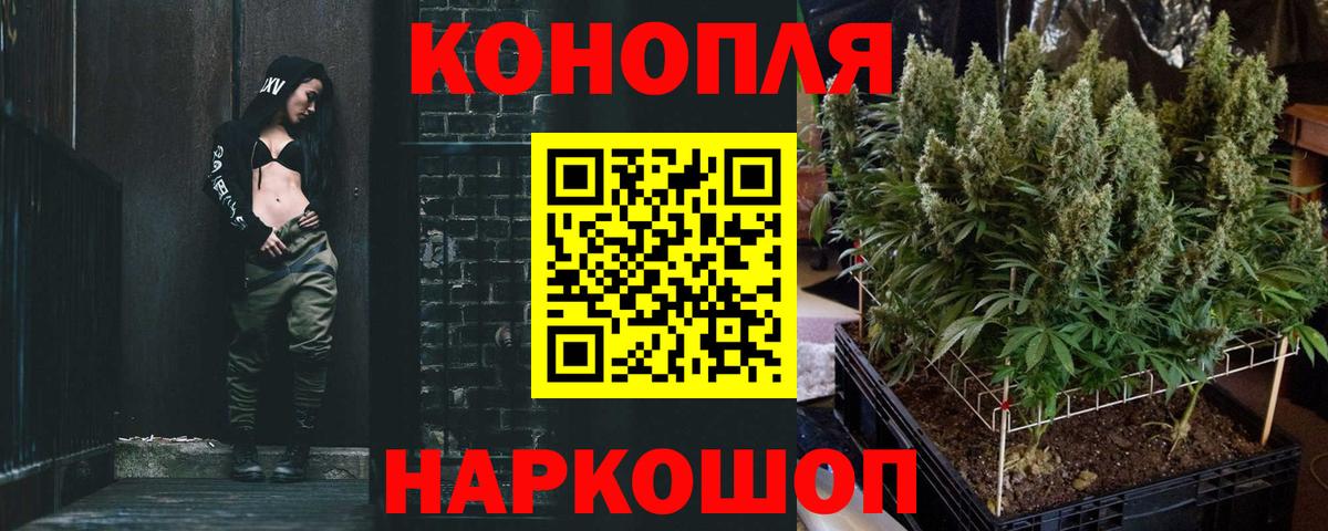 Каннабис планчик  Конопля план  Истра  Вход с VPN  Шишки марихуана семена  Каннабис сатива 